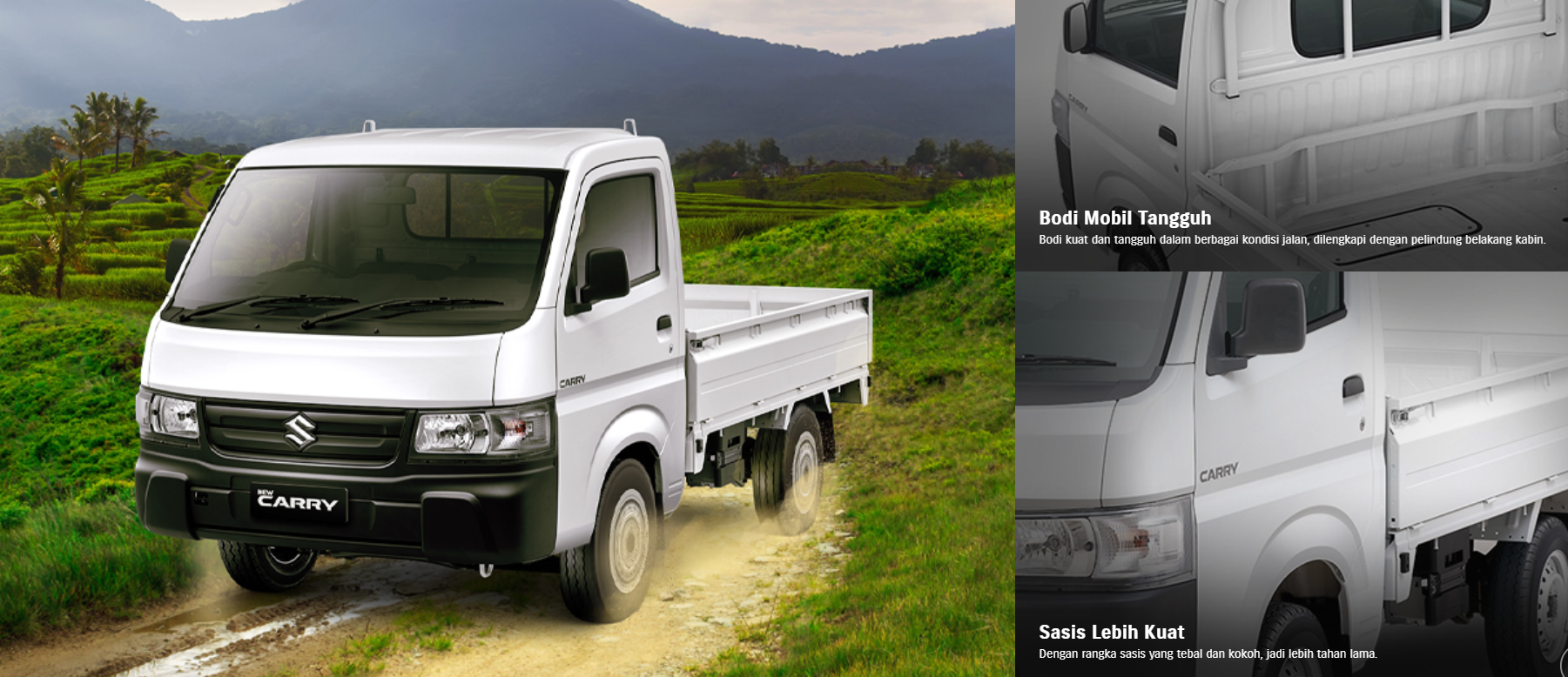 suzuki carry pick up indonesia